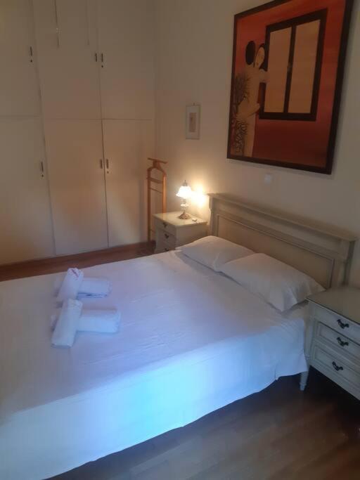Classical Apartment At Lycabetus Hill Αθήνα Εξωτερικό φωτογραφία